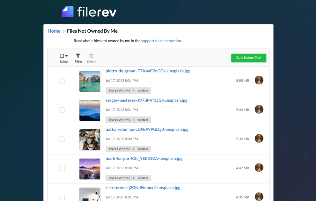 Filerev to view read-only files in Google Drive