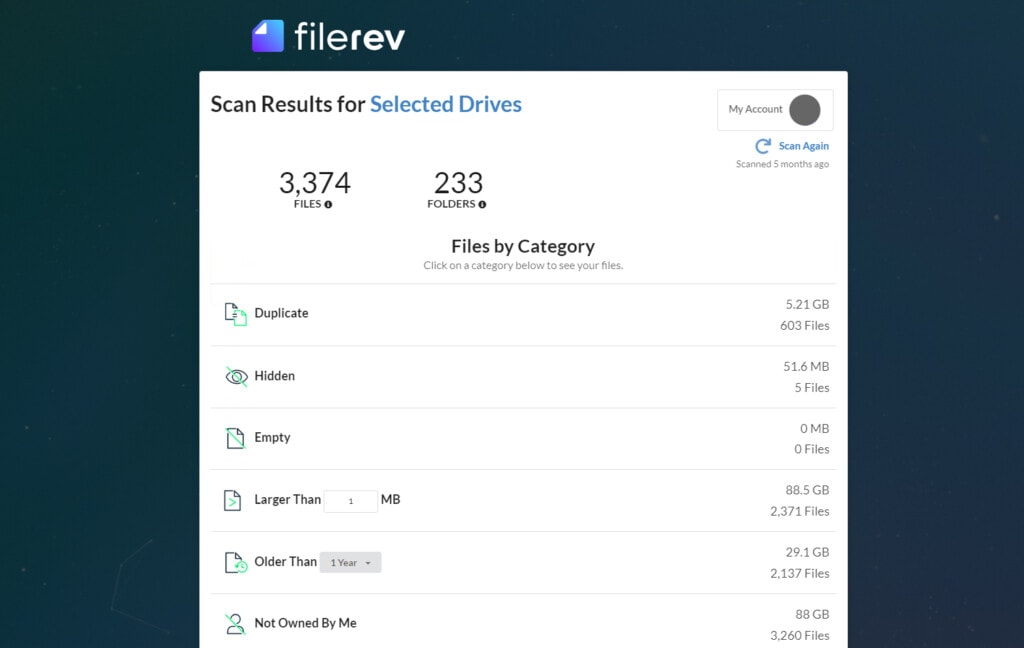 Organize Google Drive Photos in Filerev