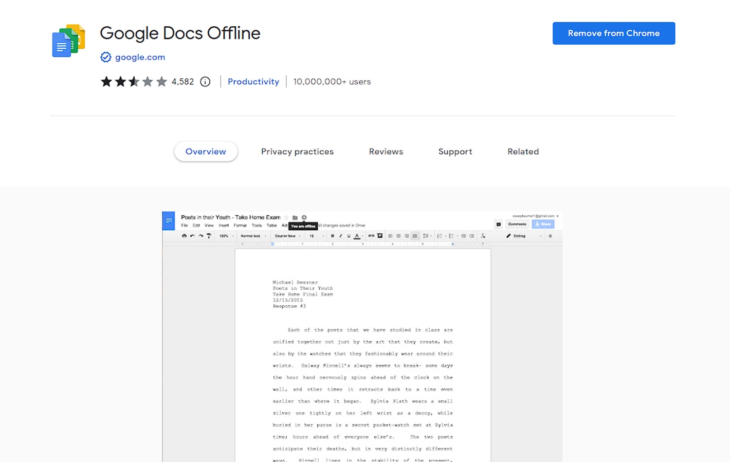 Google Docs Offline Extension