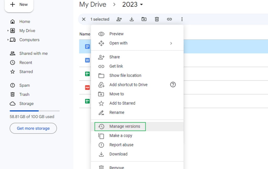 Google Drive Manage File Versions